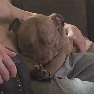 Meet your Posher, Jim